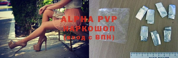 винт Алексин