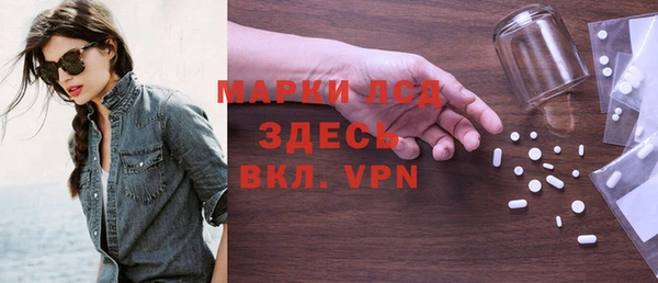 хмурый Алзамай