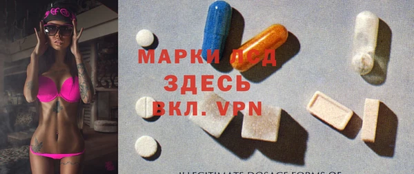 хмурый Алзамай
